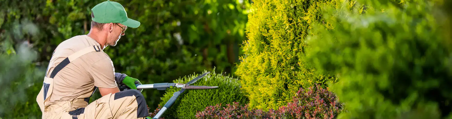 Landscape Service 1 header-splash-landscape service