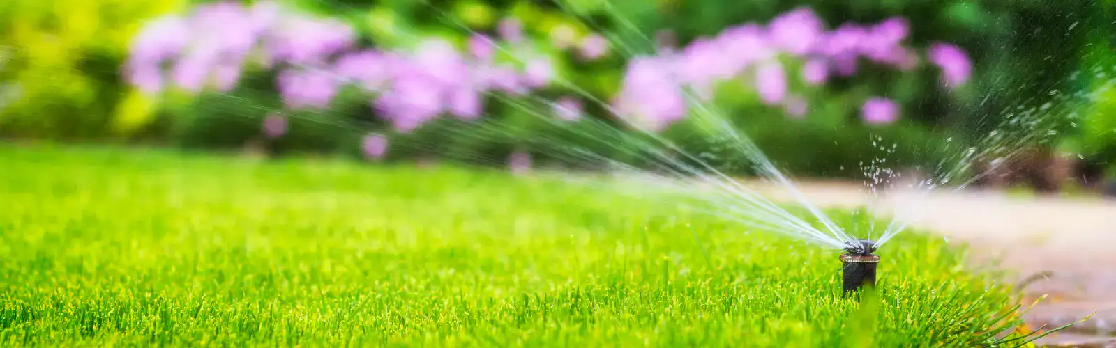 Irrigation Services 1 Irrigation Service | Sprinkler Installation | Lawn Irrigation Services