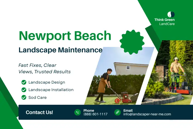 Blog 1 newport beach landscape maintenance | landscaping services newport beach