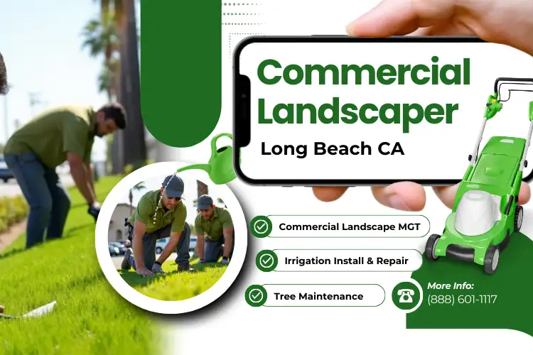commercial landscapers long beach ca 90804 | Tree Care Services Near Me