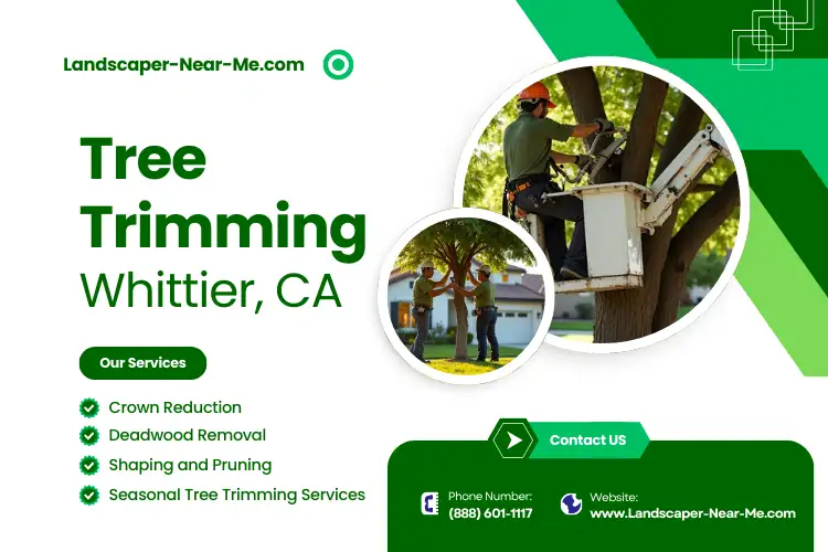 Tree Trimming Whittier CA | Tree Service Near Me