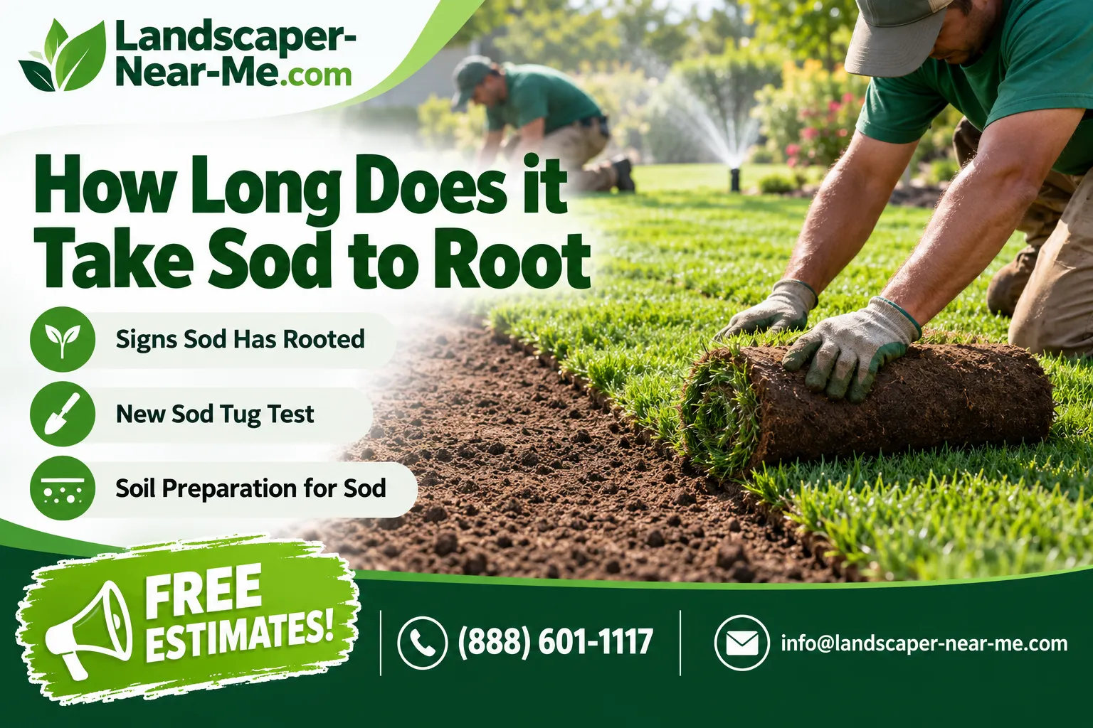 How Long Does it Take Sod to Root marketing graphic showing crew members laying fresh sod on prepared soil